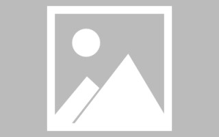 鄄城网页设计师周记（网页设计周记26篇300字）